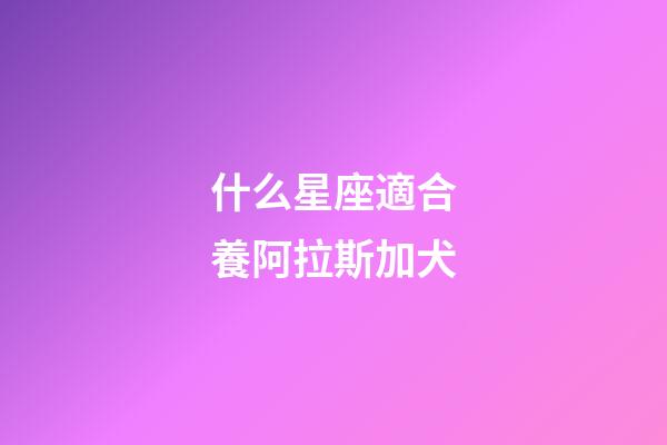 什么星座適合養阿拉斯加犬-第1張-星座運勢-玄機派