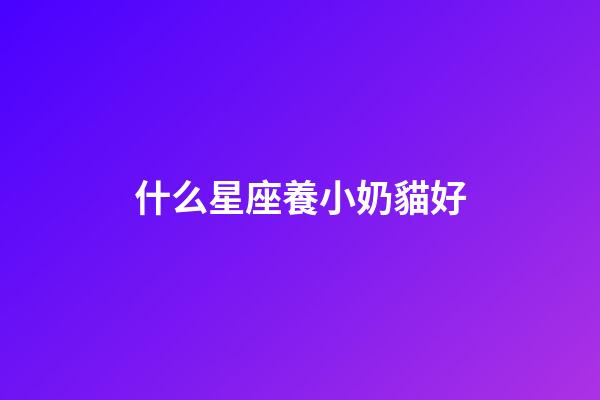 什么星座養小奶貓好-第1張-星座運勢-玄機派