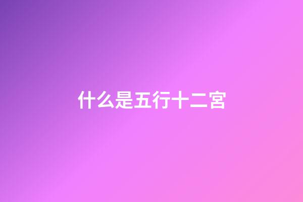什么是五行十二宮