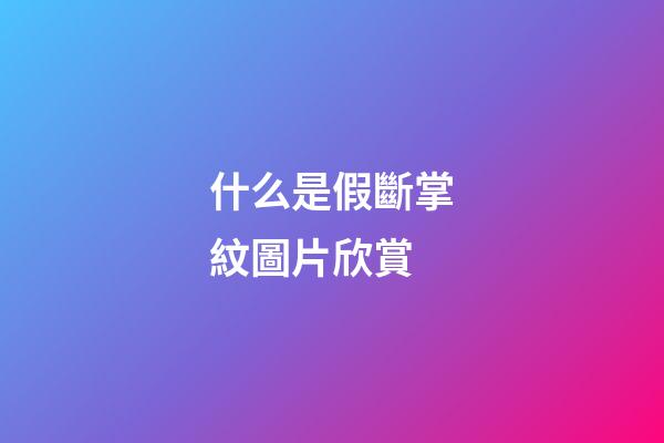 什么是假斷掌紋圖片欣賞