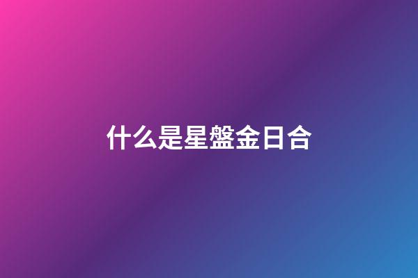 什么是星盤金日合-第1張-星座運勢-玄機派