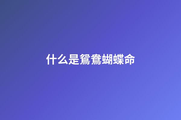 什么是鴛鴦蝴蝶命
