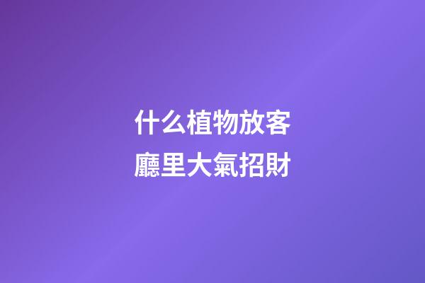 什么植物放客廳里大氣招財