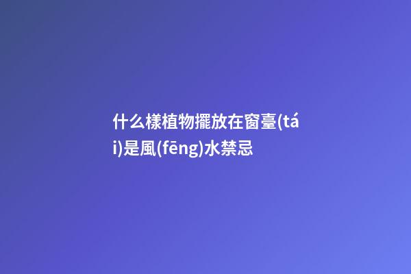 什么樣植物擺放在窗臺(tái)是風(fēng)水禁忌