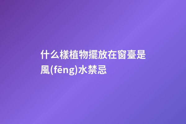 什么樣植物擺放在窗臺是風(fēng)水禁忌