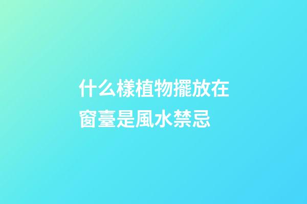 什么樣植物擺放在窗臺是風水禁忌