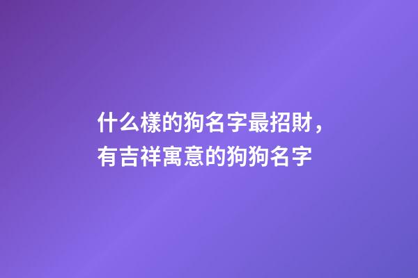 什么樣的狗名字最招財，有吉祥寓意的狗狗名字