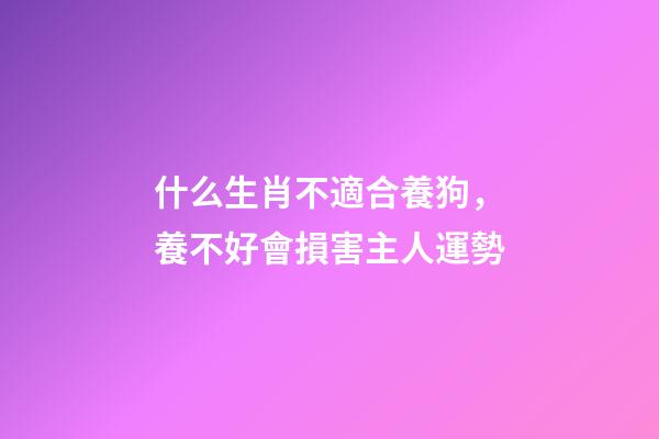 什么生肖不適合養狗，養不好會損害主人運勢