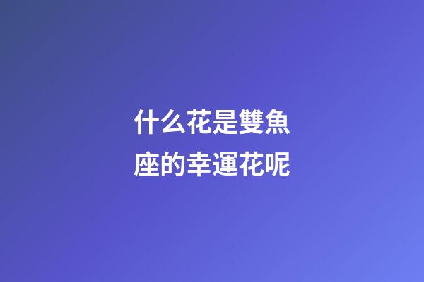 什么花是雙魚座的幸運花呢-第1張-星座運勢-玄機派