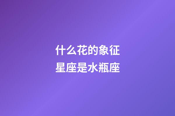 什么花的象征星座是水瓶座-第1張-星座運勢-玄機派