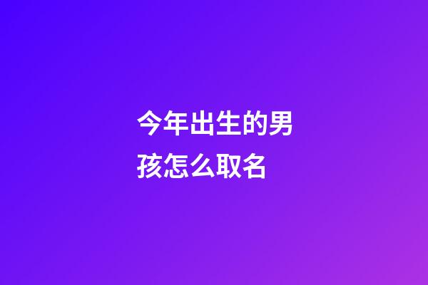 今年出生的男孩怎么取名(今年出生的男孩怎么取名字)-第1張-男孩起名-玄機派