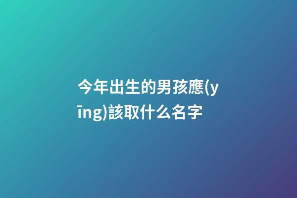 今年出生的男孩應(yīng)該取什么名字(4000個(gè)好聽的男孩名字)-第1張-男孩起名-玄機(jī)派