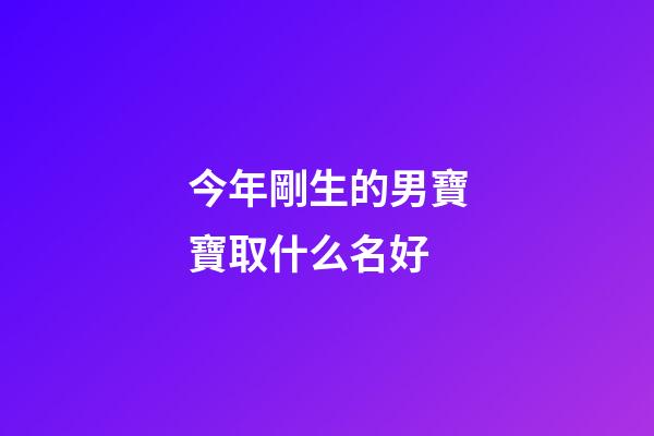 今年剛生的男寶寶取什么名好(今年出生的男寶取名)-第1張-男孩起名-玄機派