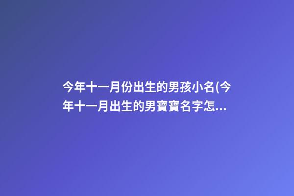 今年十一月份出生的男孩小名(今年十一月出生的男寶寶名字怎么起)