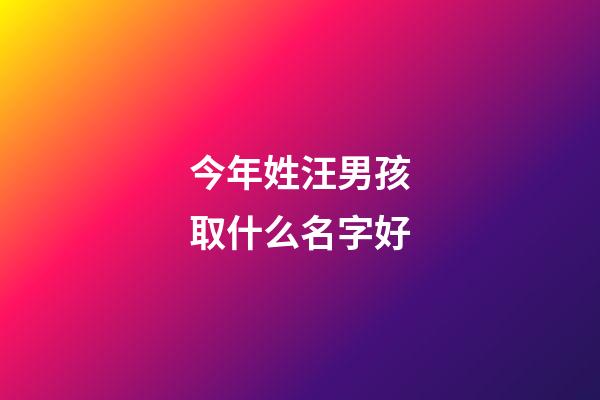 今年姓汪男孩取什么名字好(2023年姓汪男寶名)-第1張-男孩起名-玄機派