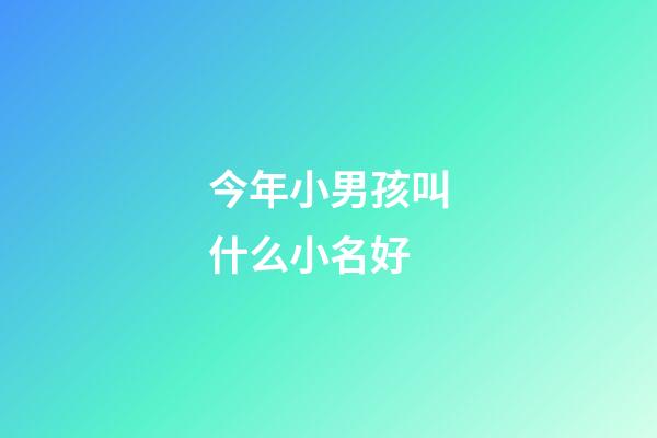 今年小男孩叫什么小名好(今年男孩小名叫什么好)-第1張-男孩起名-玄機派