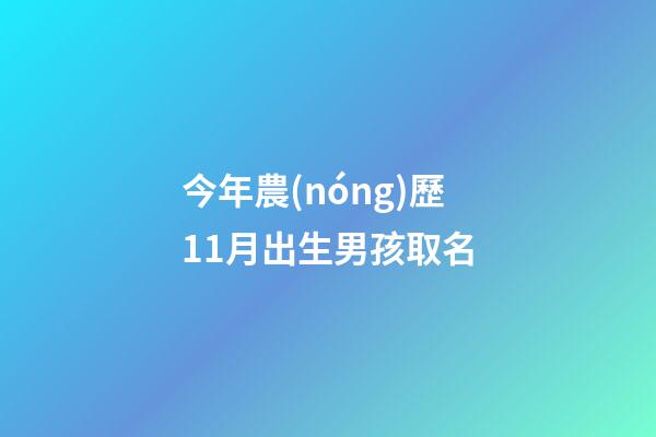 今年農(nóng)歷11月出生男孩取名(今年農(nóng)歷11月出生男孩取名大全)-第1張-男孩起名-玄機派