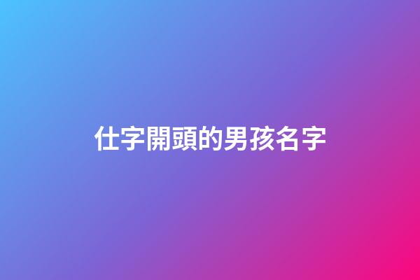 仕字開頭的男孩名字(仕字取名字大全男孩)-第1張-男孩起名-玄機派
