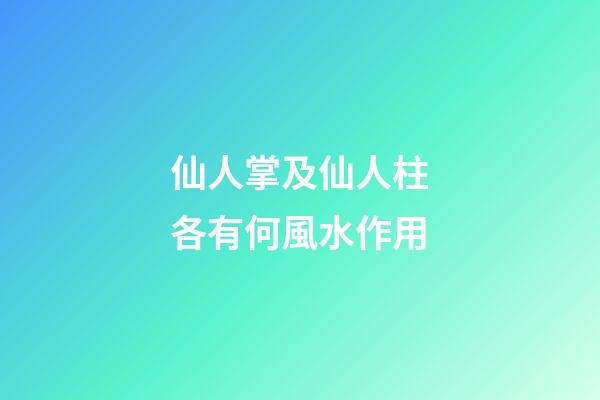 仙人掌及仙人柱各有何風水作用?