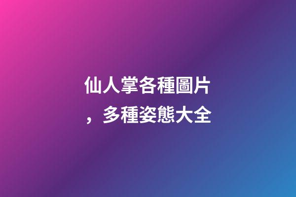 仙人掌各種圖片，多種姿態大全-第1張-觀點-玄機派