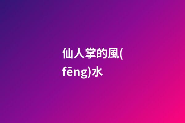 仙人掌的風(fēng)水