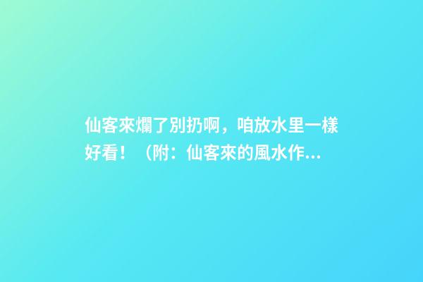 仙客來爛了別扔啊，咱放水里一樣好看！（附：仙客來的風水作用）