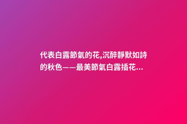 代表白露節氣的花,沉醉靜默如詩的秋色——最美節氣白露插花集萃-第1張-觀點-玄機派