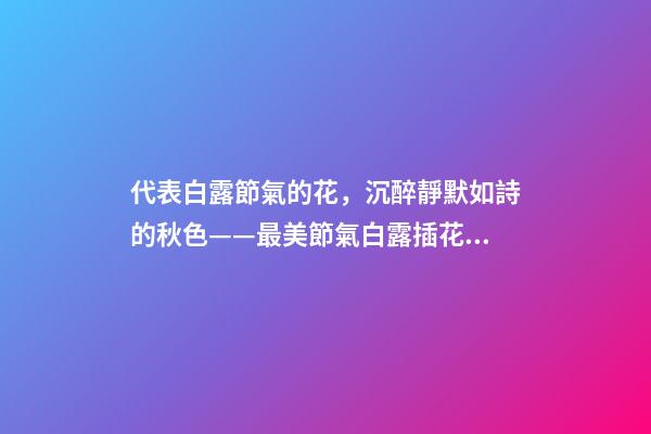 代表白露節氣的花，沉醉靜默如詩的秋色——最美節氣白露插花集萃-第1張-觀點-玄機派