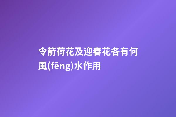 令箭荷花及迎春花各有何風(fēng)水作用?