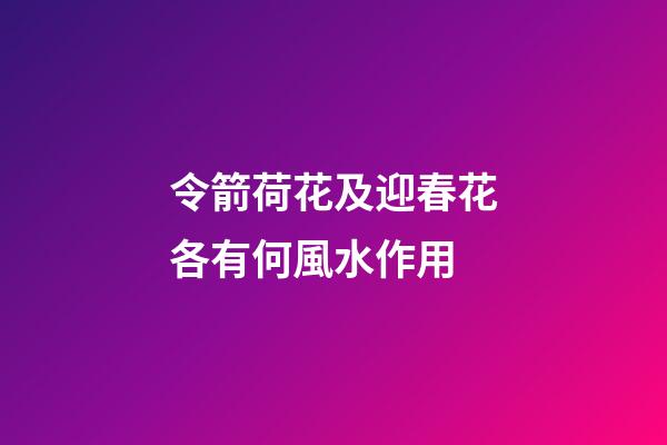 令箭荷花及迎春花各有何風水作用?