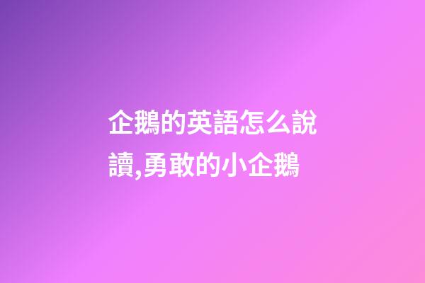 企鵝的英語怎么說讀,勇敢的小企鵝-第1張-觀點-玄機派