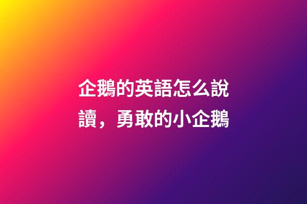 企鵝的英語怎么說讀，勇敢的小企鵝-第1張-觀點-玄機派