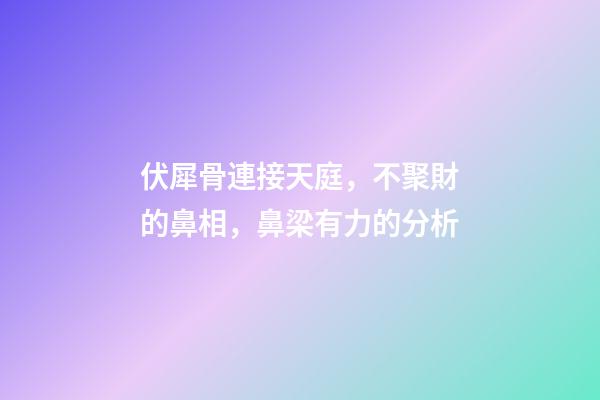 伏犀骨連接天庭，不聚財的鼻相，鼻梁有力的分析