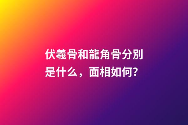 伏羲骨和龍角骨分別是什么，面相如何？