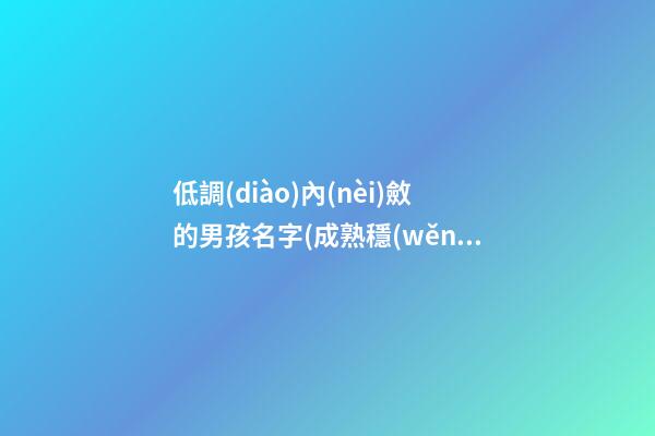 低調(diào)內(nèi)斂的男孩名字(成熟穩(wěn)重低調(diào)內(nèi)斂的男生)