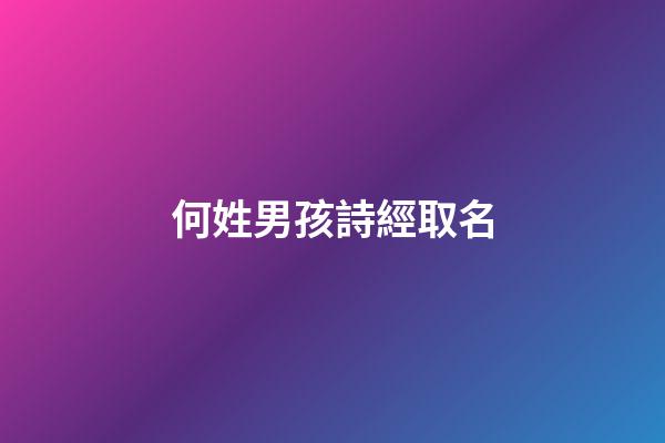 何姓男孩詩經取名(姓何的女孩好聽的名字詩經出處)-第1張-女孩起名-玄機派