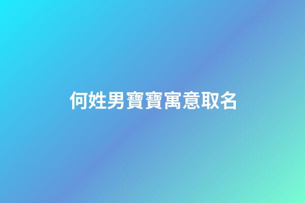 何姓男寶寶寓意取名(何姓男寶寶寓意取名洋氣)-第1張-男孩起名-玄機派