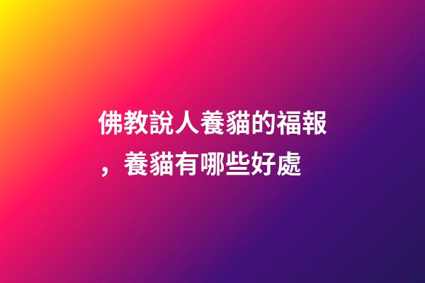 佛教說人養貓的福報，養貓有哪些好處