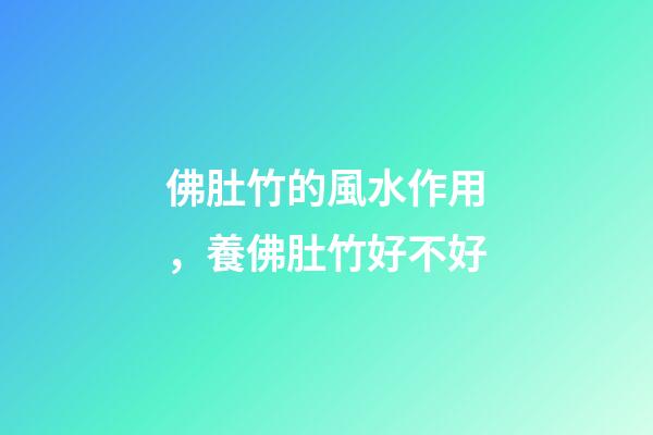 佛肚竹的風水作用，養佛肚竹好不好