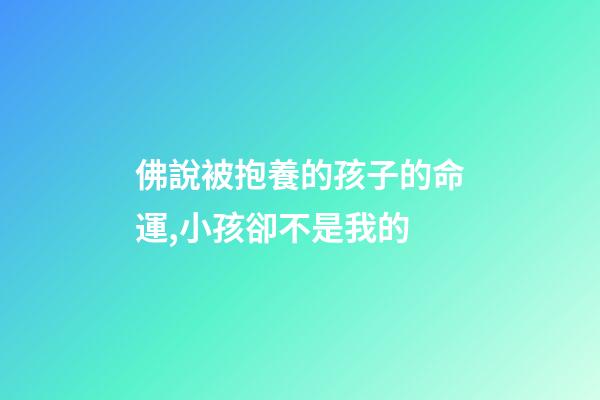 佛說被抱養的孩子的命運,小孩卻不是我的-第1張-觀點-玄機派