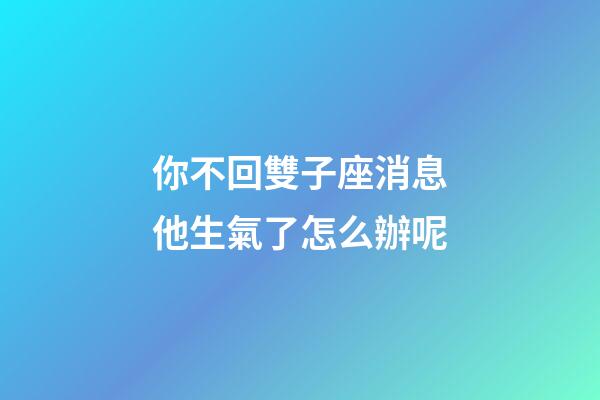 你不回雙子座消息他生氣了怎么辦呢-第1張-星座運勢-玄機派