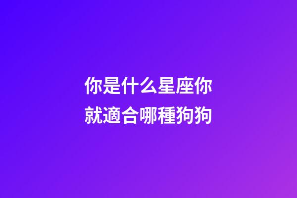 你是什么星座你就適合哪種狗狗-第1張-星座運(yùn)勢-玄機(jī)派
