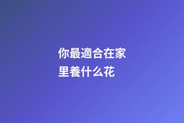 你最適合在家里養什么花