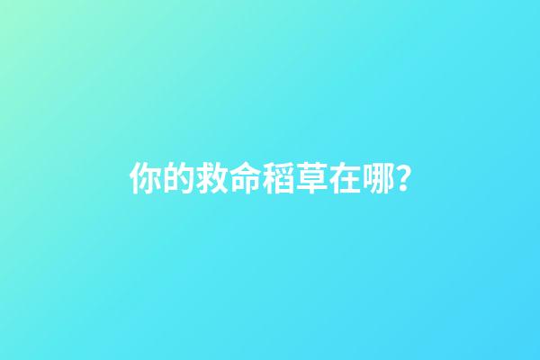 你的救命稻草在哪？