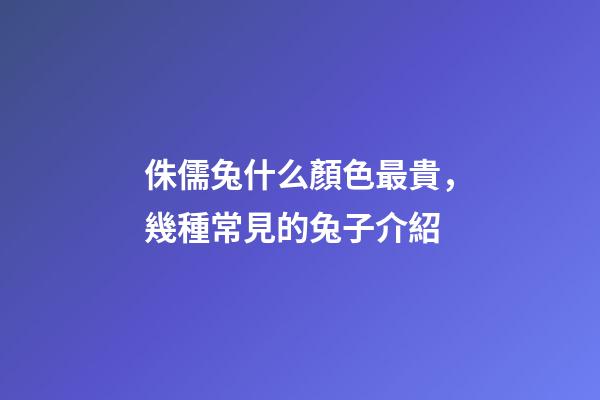 侏儒兔什么顏色最貴，幾種常見的兔子介紹-第1張-觀點-玄機派