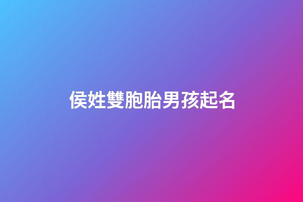 侯姓雙胞胎男孩起名(侯姓龍鳳胎寶寶起名)-第1張-男孩起名-玄機派