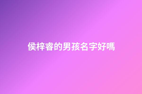 侯梓睿的男孩名字好嗎(侯梓睿名字怎么樣)-第1張-男孩起名-玄機派