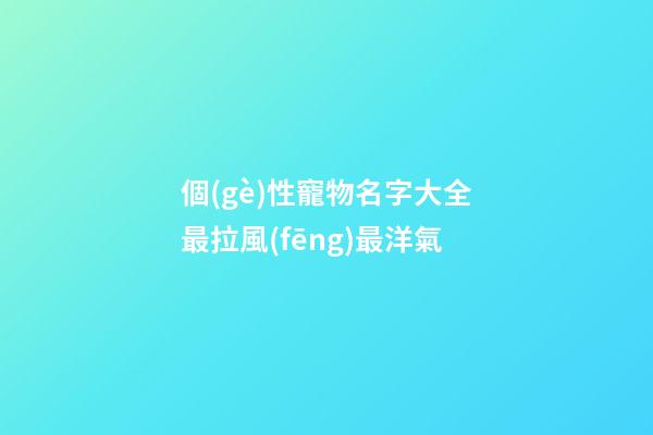 個(gè)性寵物名字大全最拉風(fēng)最洋氣