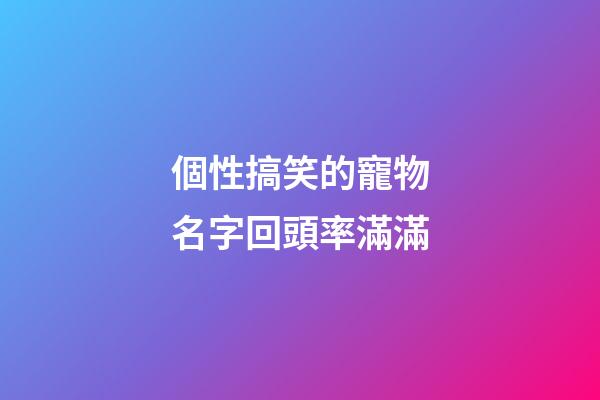 個性搞笑的寵物名字回頭率滿滿