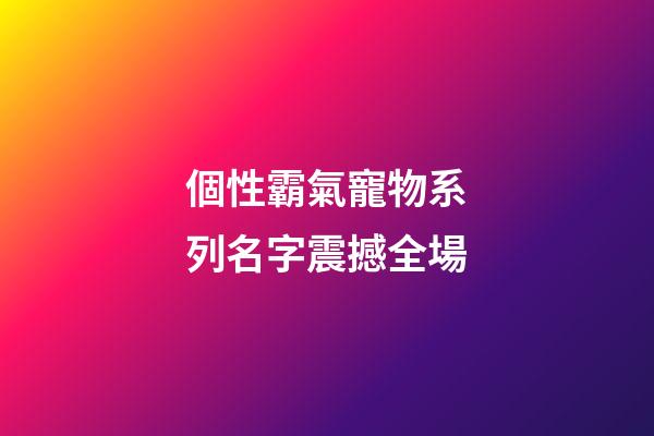 個性霸氣寵物系列名字震撼全場